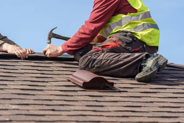 Gutter Installation and Roofing in Camden, AL