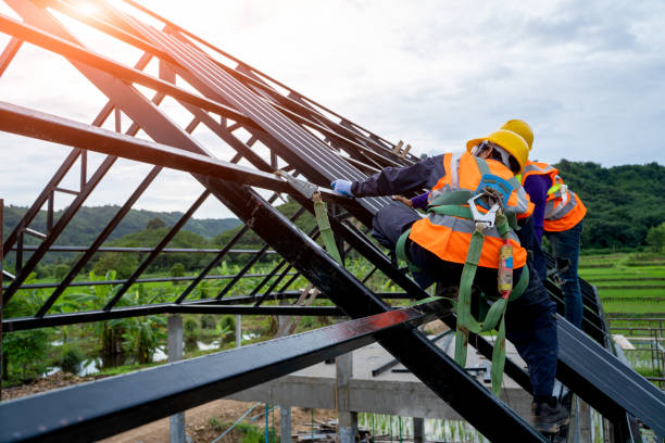 Best Roof Maintenance Services  in Camden, AL