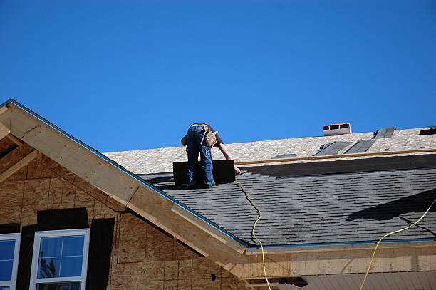 Best Metal Roofing Contractor  in Camden, AL