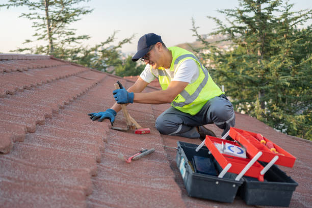 Best Storm Damage Roof Repair  in Camden, AL