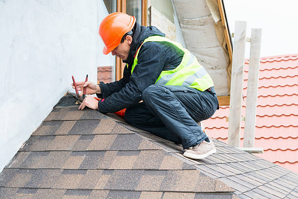 Best Roof Gutter Cleaning  in Camden, AL