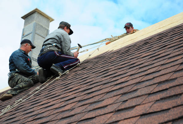 Best Gutter Installation and Roofing  in Camden, AL