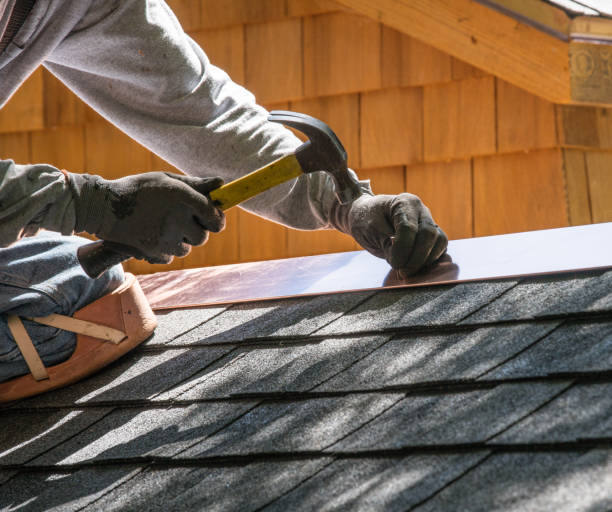Best Shingle Roofing Installation  in Camden, AL